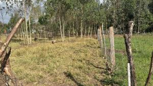 Land for sale Karen Nairobi