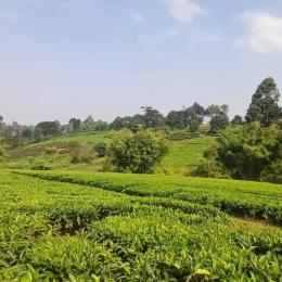 Land for sale Tigoni Limuru
