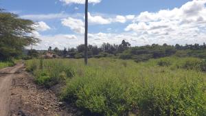 Land for sale Kiserian Kiserian