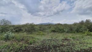 Land for sale Naivasha Kedong, 6.5km off Moi South Lake Road, next to Longonot Gates, Naivasha East Nakuru