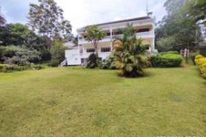 Commercial Properties for rent Lavington Nairobi