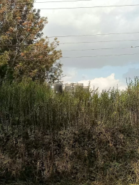 5 bedroom Houses for sale Kiserian Kiserian