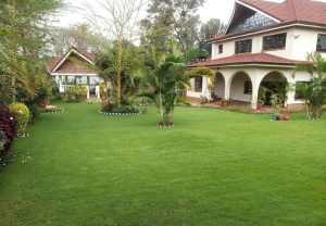 Houses for rent Runda Nairobi