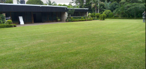 5 bedroom Townhouses Houses for rent - Muthaiga North Nairobi