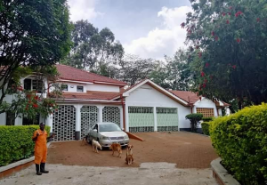 Commercial Properties for rent Peponi Rd,  Westlands Nairobi