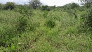 Land for sale Olkeri Kajiado