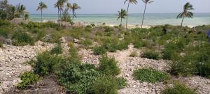Land for sale Kilifi North Kilifi