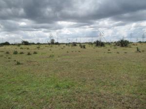 Land for sale Ngelani, Katani, Syokimau/Mulolongo Machakos