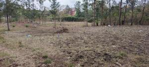 Land for sale Kamakis Ruiru