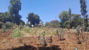 Land for sale Ngong Kajiado