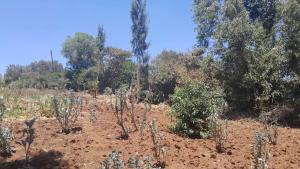 Land for sale Ngong Kajiado