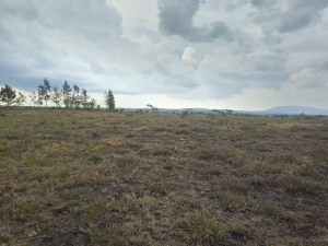 Land for sale Kiserian Kiserian