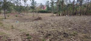 Land for sale Kamakis Ruiru