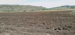 Land for sale Tigoni Limuru