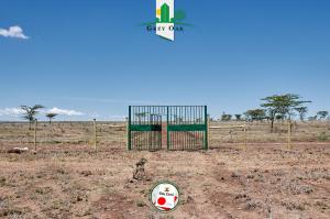 Land for sale Nanyuki Nanyuki