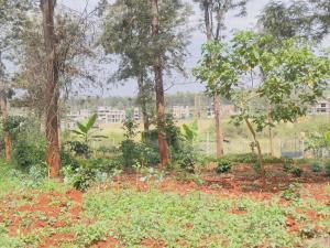 Land for sale Ruiru Kiambu