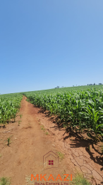 Land for sale Subukia Nakuru
