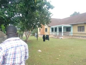 Land for sale Kireka road  Kampala Central