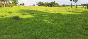 Agricultural Land for rent Thogoto Kikuyu
