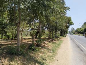 Land for sale Kilifi North Kilifi