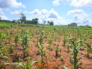 Land for sale Malindi Kilifi