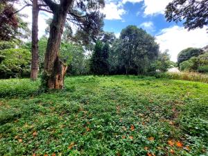 Land for sale Lower Kabete Nairobi