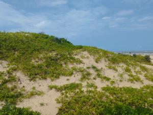 Land for sale Magarini Kilifi