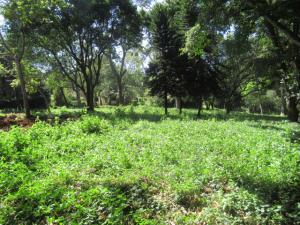 Residential Land for sale Farasi Lane Lower Kabete Nairobi