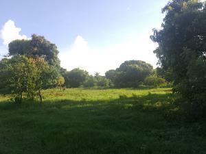 Land for sale Malindi Kilifi