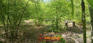 Land for sale Embu Embu