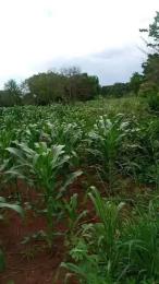 Land for sale Kakooge Nakaseke Central