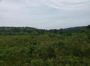 Land for sale Buikwe Central