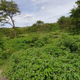 Land for sale Juja Kiambu