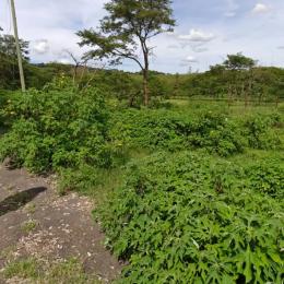 Land for sale Juja Kiambu