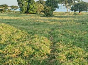 Land for sale Garuga Entebbe road  Kampala Central Kampala Central