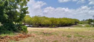 Land for sale Kilifi North Kilifi
