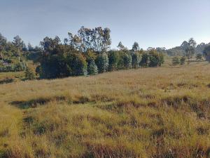 Land for sale Ol Kalou Nyandarua