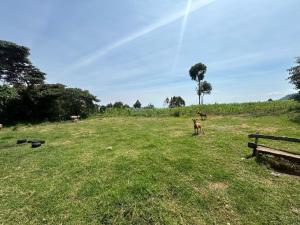 Land for sale Subukia Nakuru