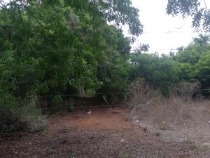Land for sale Kilifi North Kilifi