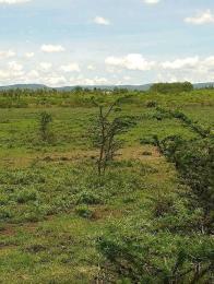 Land for sale Nanyuki Nanyuki