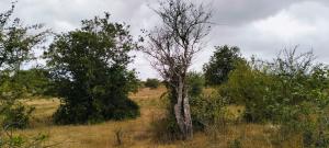 Land for sale Malindi Kilifi
