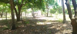 Land for sale Kilifi North Kilifi