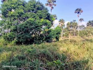 Land for sale Lunga Lunga Kwale