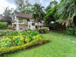 Commercial Properties for rent Lavington Nairobi