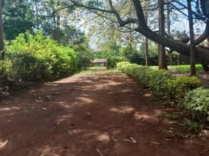 Land for sale Mathioya Murang'a