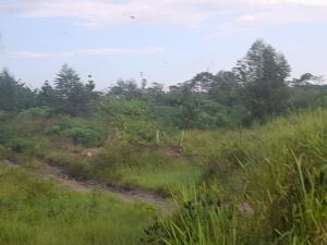 Land for sale Nagojje, Nakifuma Subcounty  Mukono Mukono Central