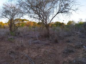 Land for sale Malindi Kilifi