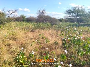 Land for sale Matapato North Kajiado