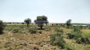 Land for sale Isinya Isinya