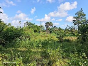 Land for sale Lunga Lunga Kwale